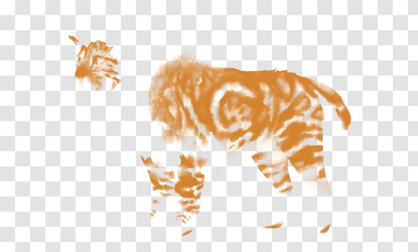 Tiger Lion Giraffe Felidae Whiskers - Horse Markings Transparent PNG