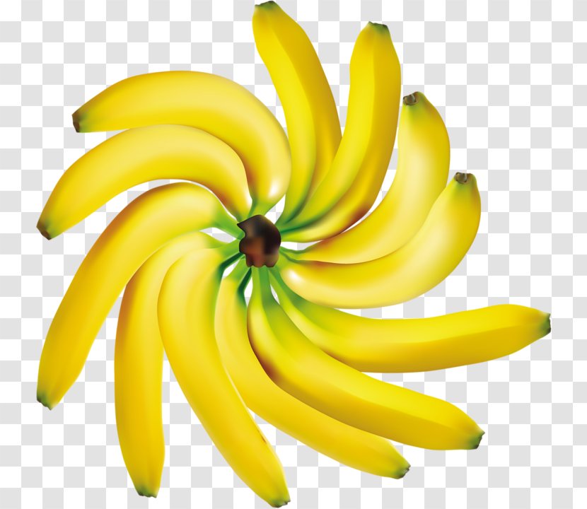 Banana Family Yellow Plant Fruit - Flower Petal Transparent PNG