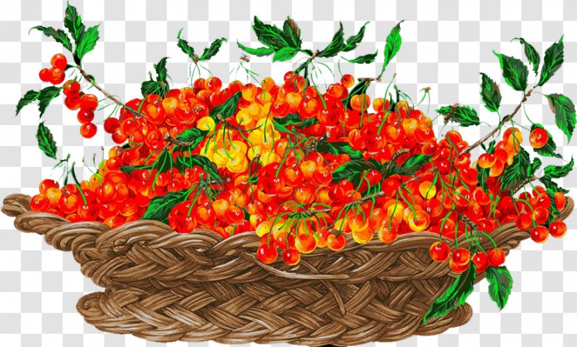 Floral Design Vegetable Flowerpot Orange Fruit - Flower Arranging - Cherry Transparent PNG