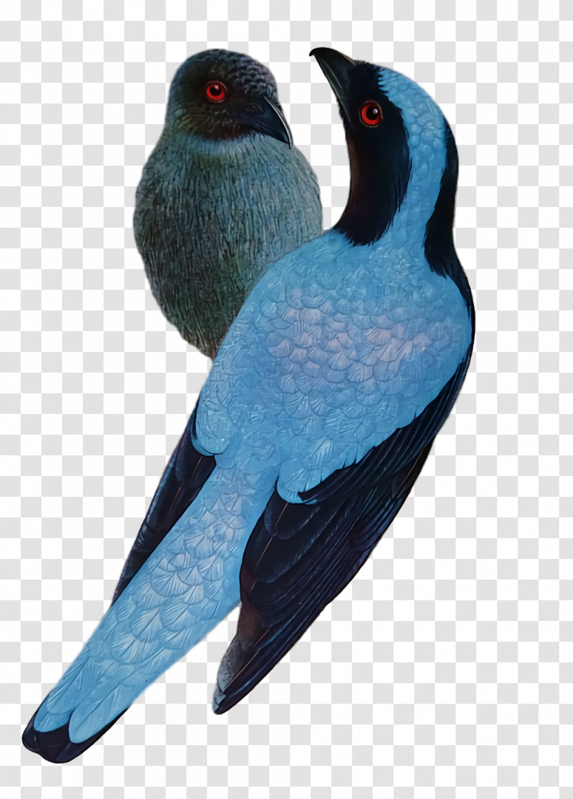 Cobalt Blue Beak Cobalt Transparent PNG