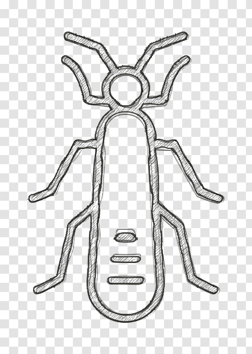 Insects Icon Stonefly Icon Transparent PNG