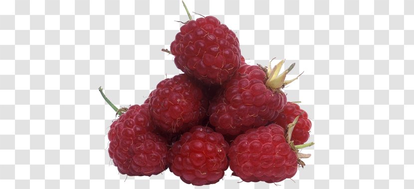 Red Raspberry PhotoScape - Loganberry Transparent PNG
