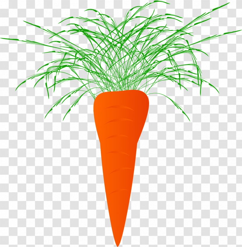 Carrot Juice Plant Vegetable Food - Daucus Carota Transparent PNG