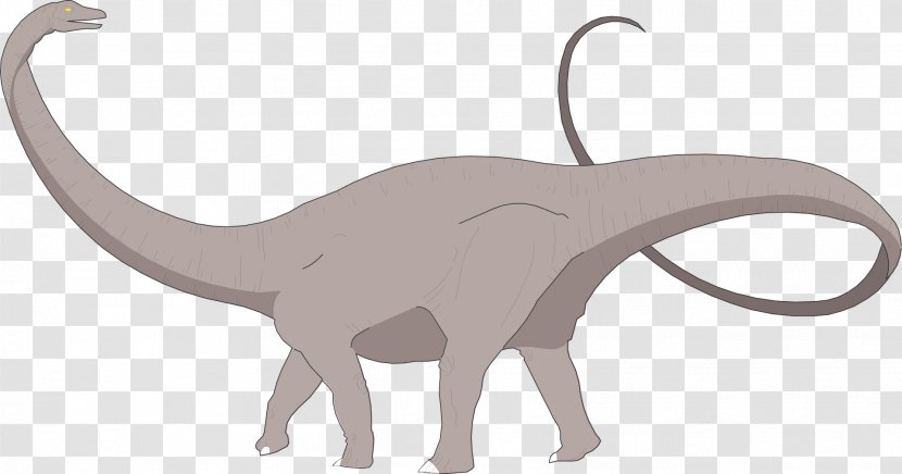 Apatosaurus Brachiosaurus Brontosaurus Dinosaur Size - Carnivoran Transparent PNG