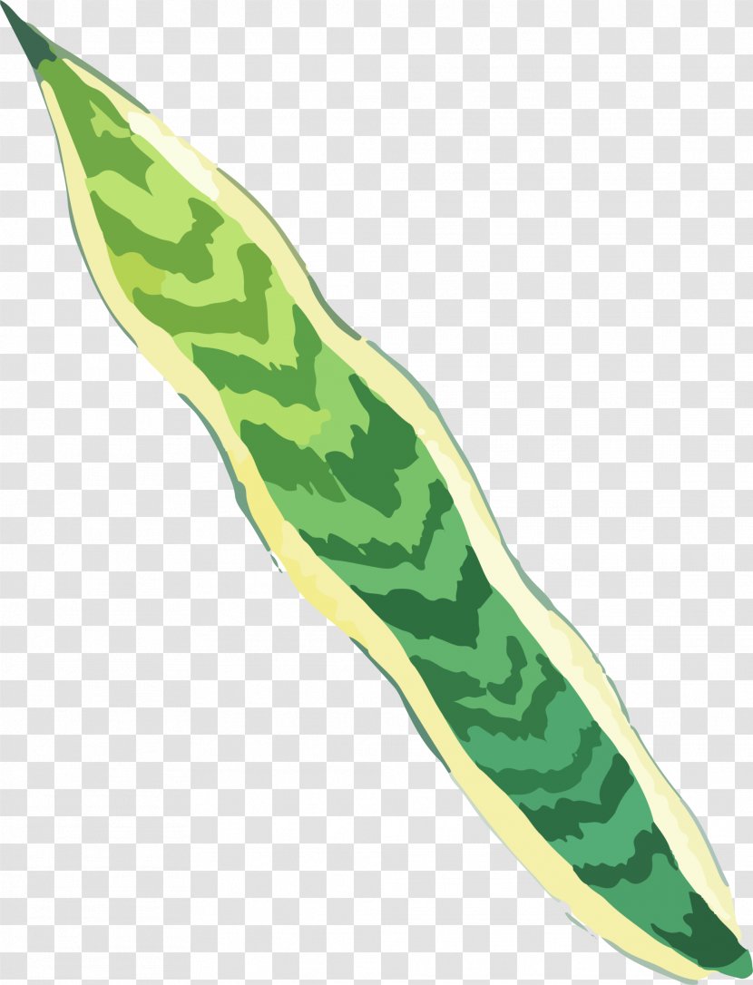 Green Hand Painted Grass - Cold Weapon - Graphic Designer Transparent PNG
