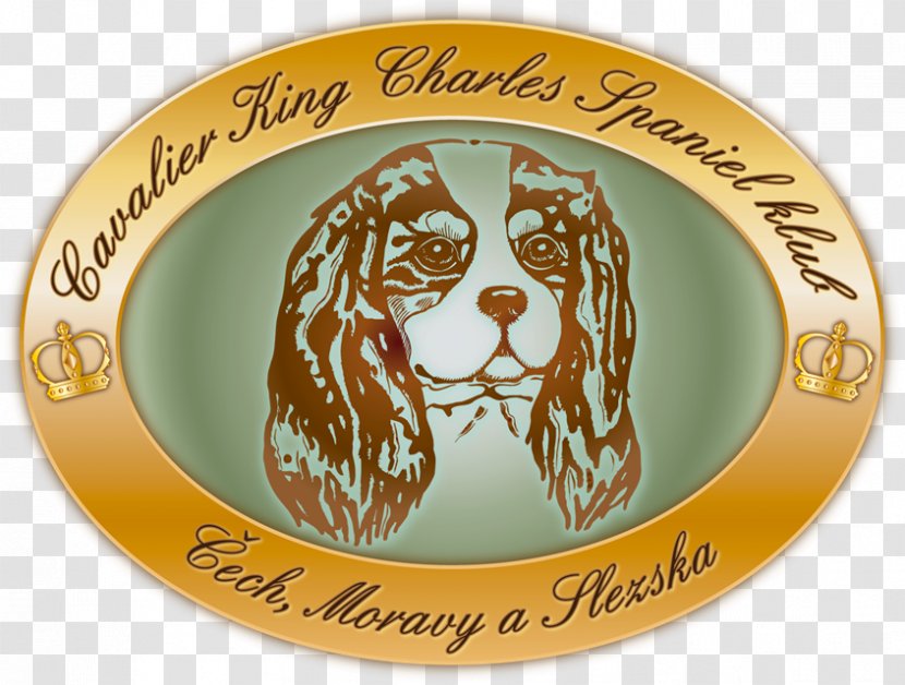 Valley Youth Theatre Down Under Japanese Chin Cleveland Cavaliers Byermoor - Plate Transparent PNG