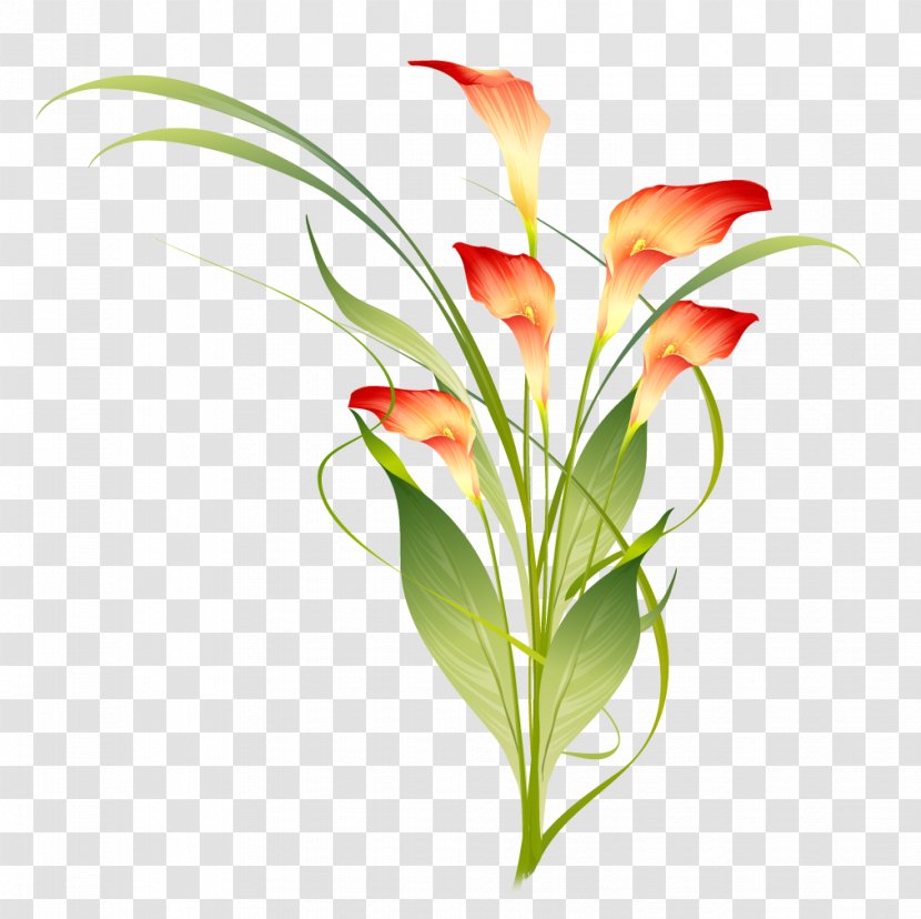 Flower Photography Clip Art - Floral Design Transparent PNG