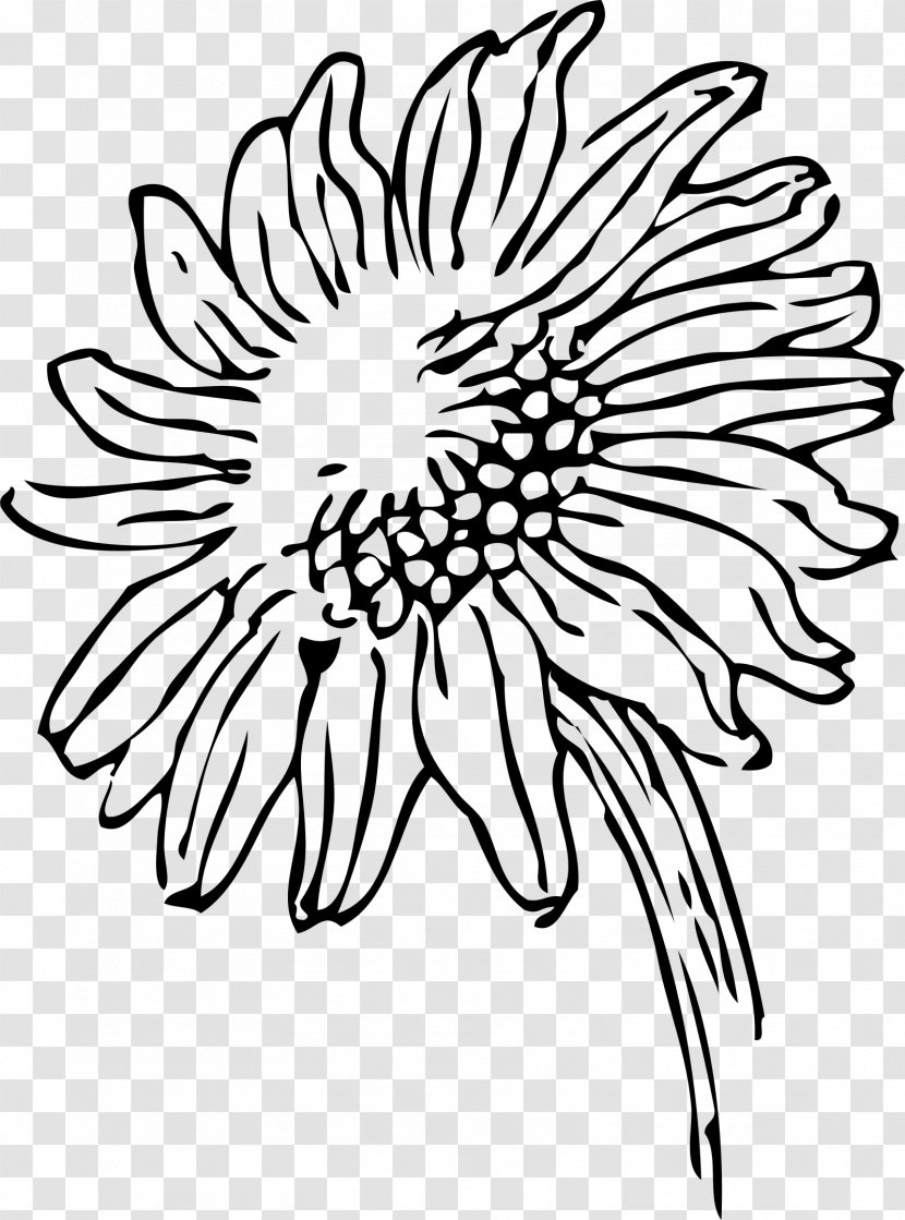 Drawing Common Sunflower Clip Art - Tree - Marigold Transparent PNG