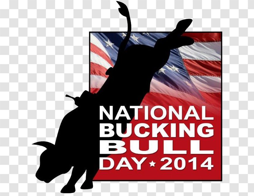 Cat Advertising Bucking Bull Brand - Poster Transparent PNG