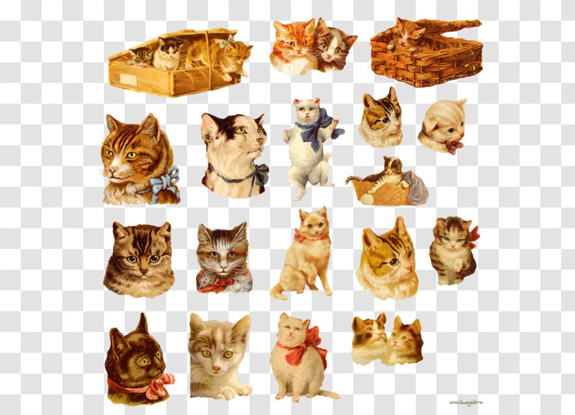 Cat Collage Decoupage Clip Art - Illustrator Transparent PNG