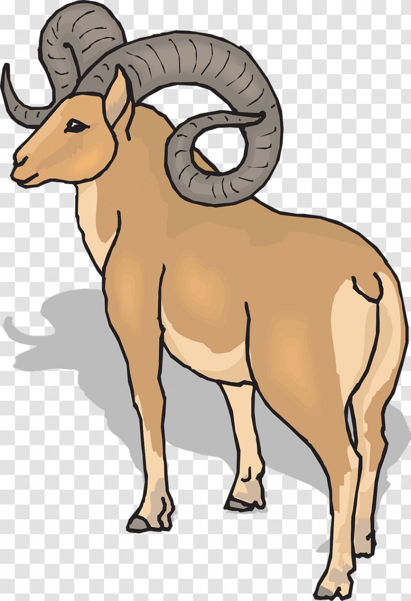 Ram Trucks Sheep Dodge Clip Art - Argali - Goat Transparent PNG