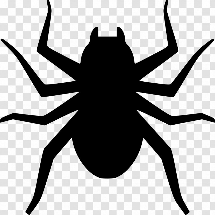 Spider Web Patience Tarantula Game - Card - Trafic Transparent PNG