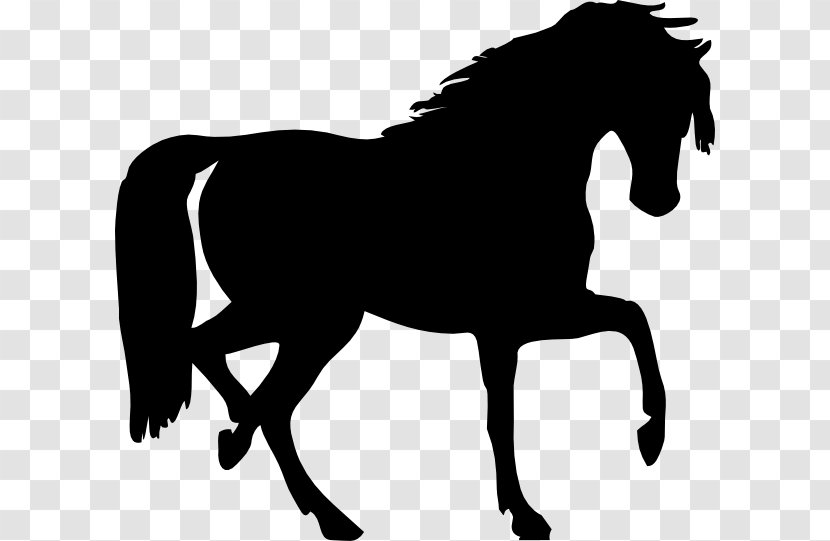 Arabian Horse Silhouette Clip Art - Drawing - Royal Cliparts Transparent PNG