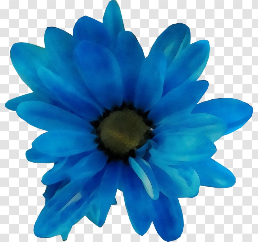Blue Petal Gerbera Flower Cobalt - African Daisy Flowering Plant Transparent PNG