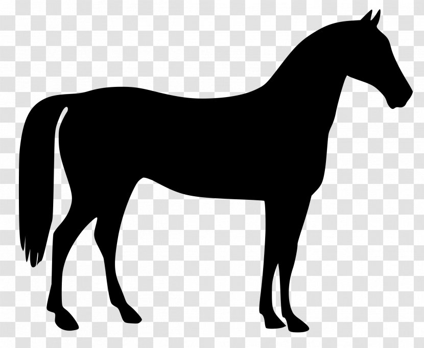 Arabian Horse American Quarter Equestrian Clip Art - Shepherd Transparent PNG