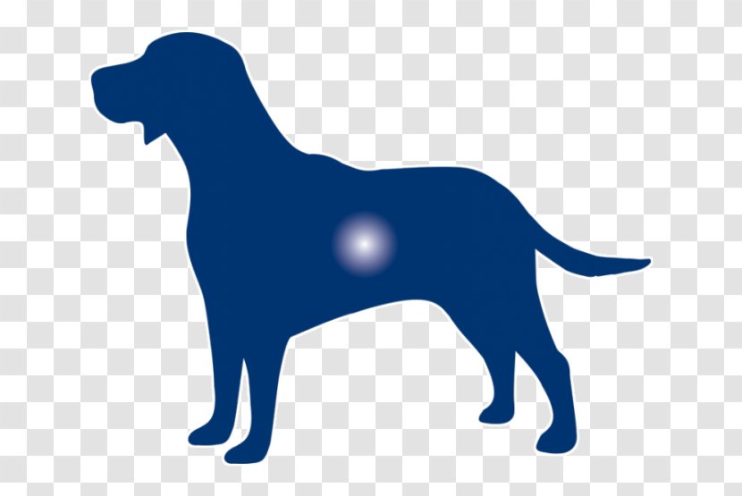 Labrador Retriever Puppy Dog Breed Sporting Group Transparent PNG