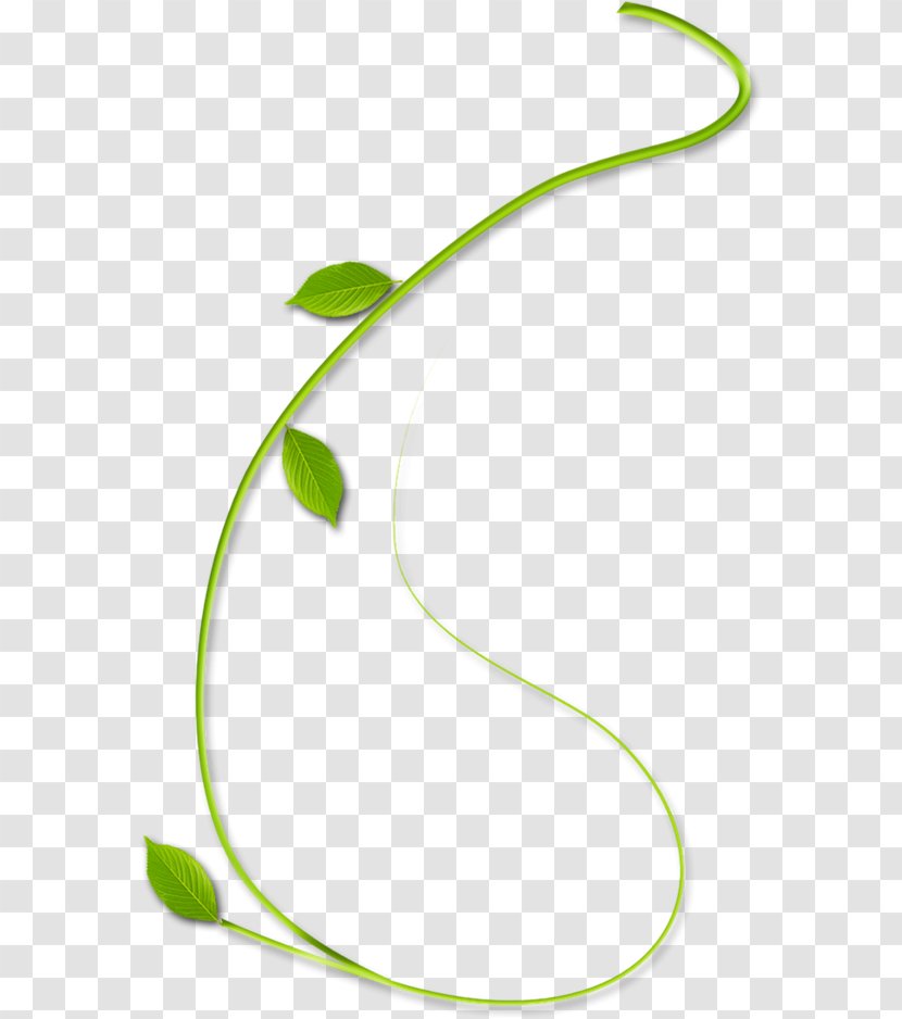 Image Leaf Green Calameae - Autonomy Design Element Transparent PNG