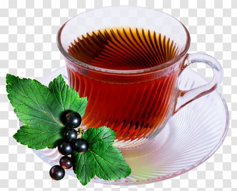 Green Tea Coffee Ice Cream - Chrysanthemum Transparent PNG