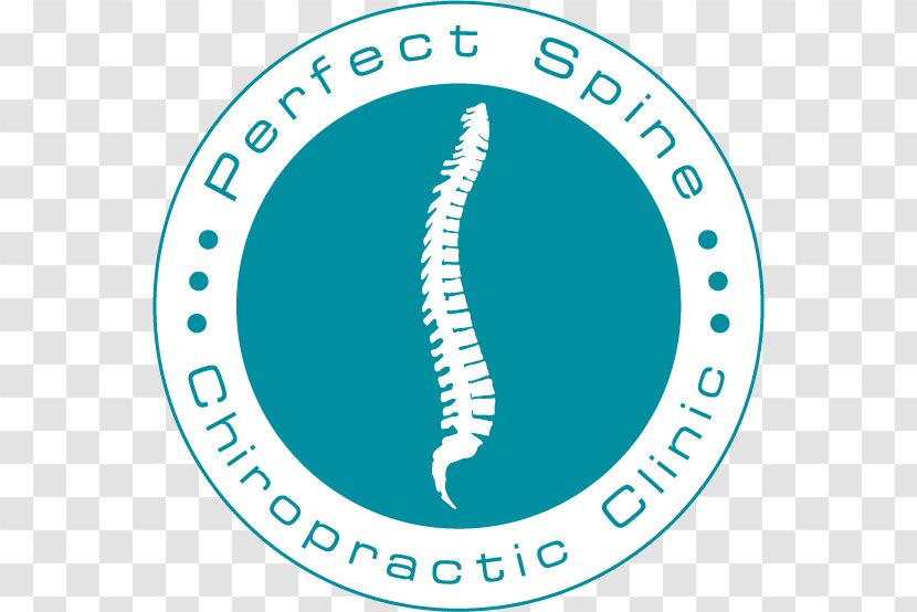 Perfect Spine Chiropractic Clinic Pain Chiropractor Health Care Transparent PNG