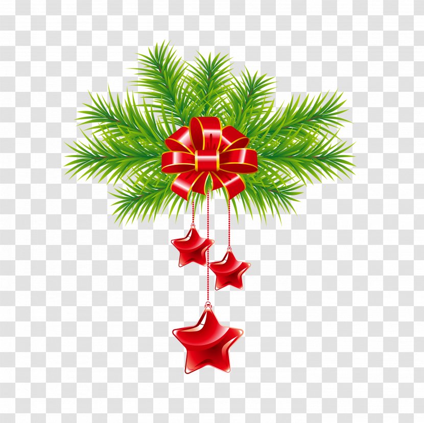 Christmas Background - Decoration - Conifer Transparent PNG