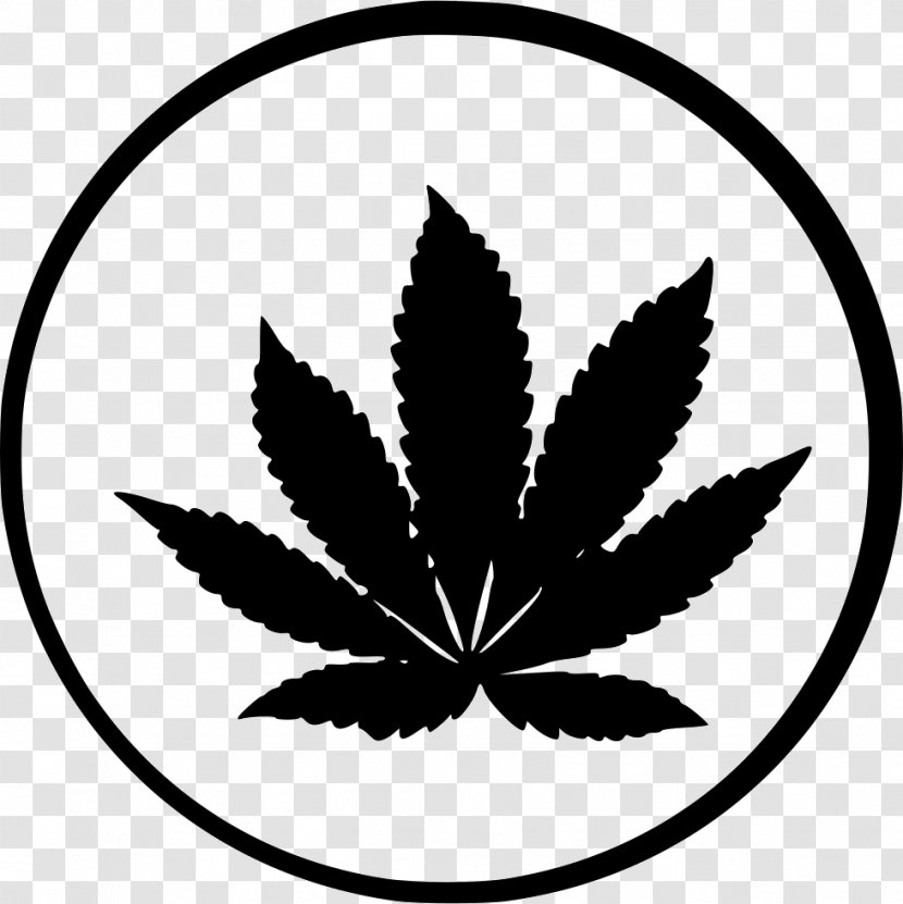 Cannabis Ruderalis Sativa Cultivation Kush - Bong Transparent PNG