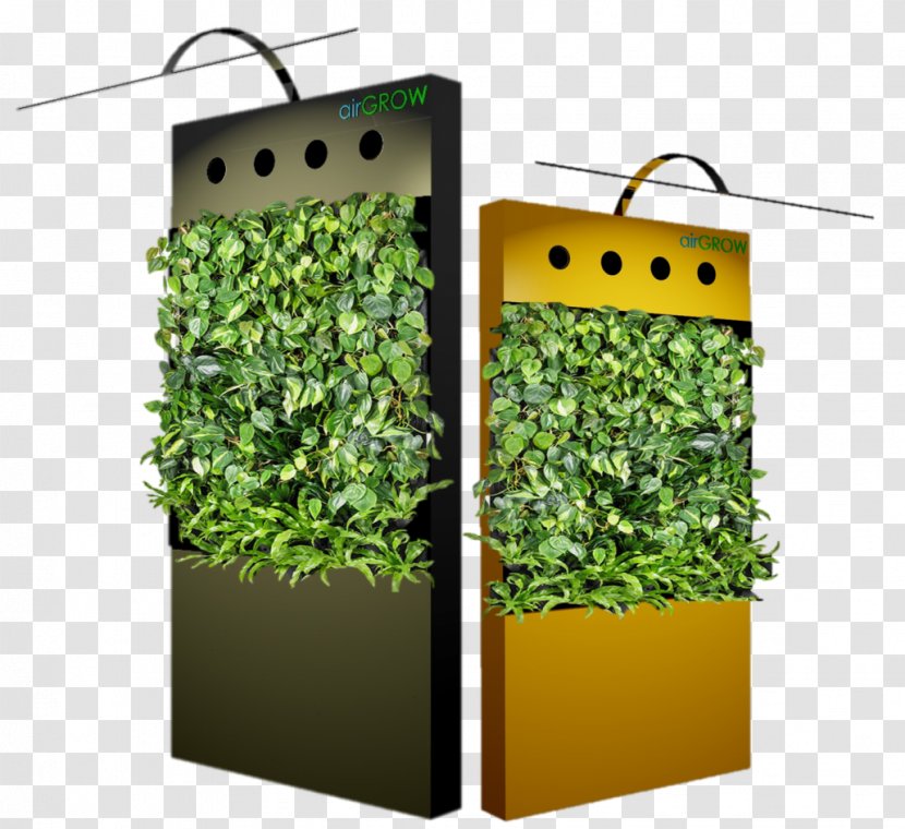 Herb Flowerpot - Grass - Design Transparent PNG