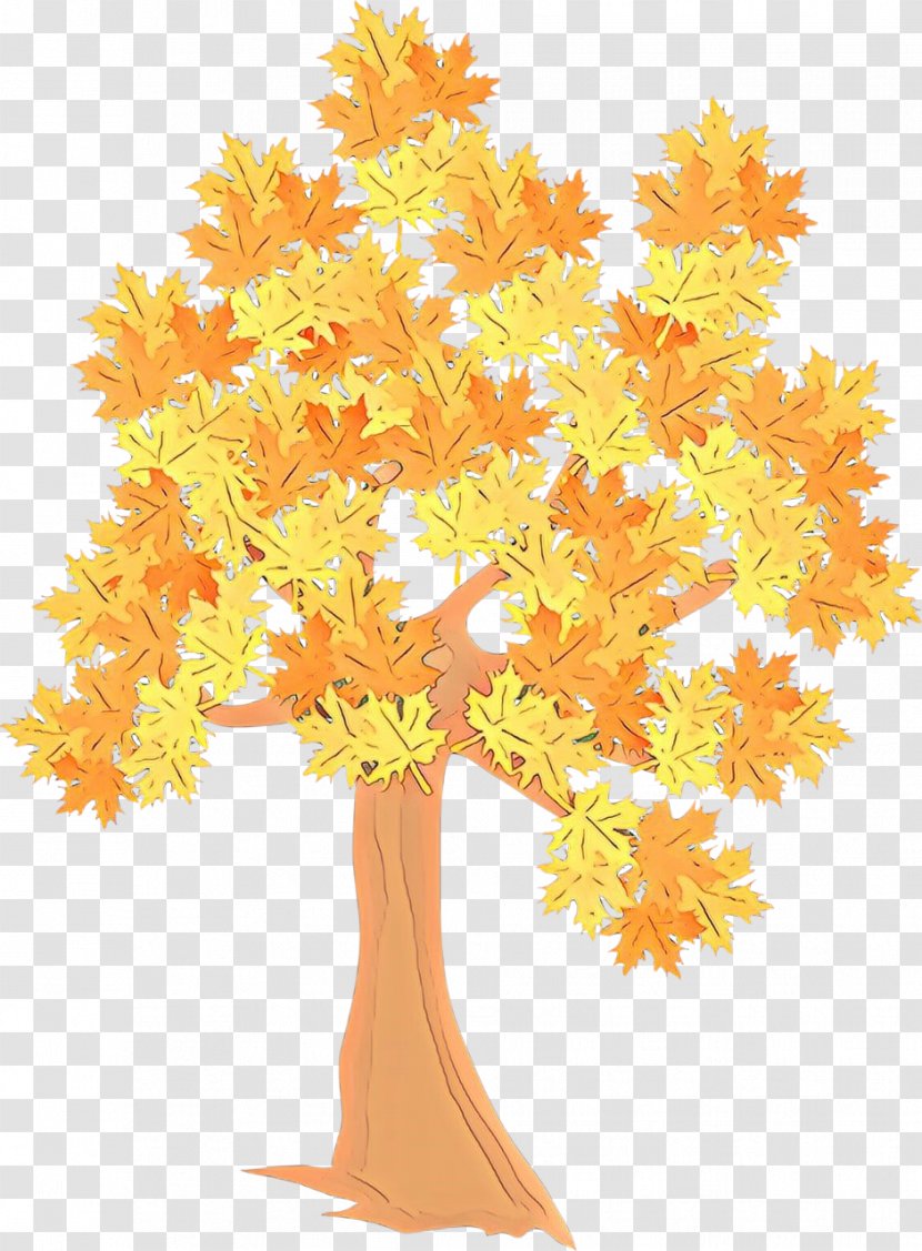 Orange - Plant - Flower Branch Transparent PNG