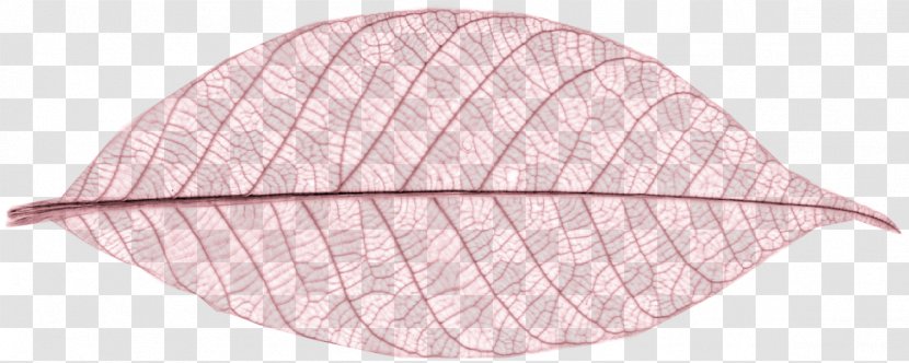 Leaf - Pink Leaves Transparent PNG