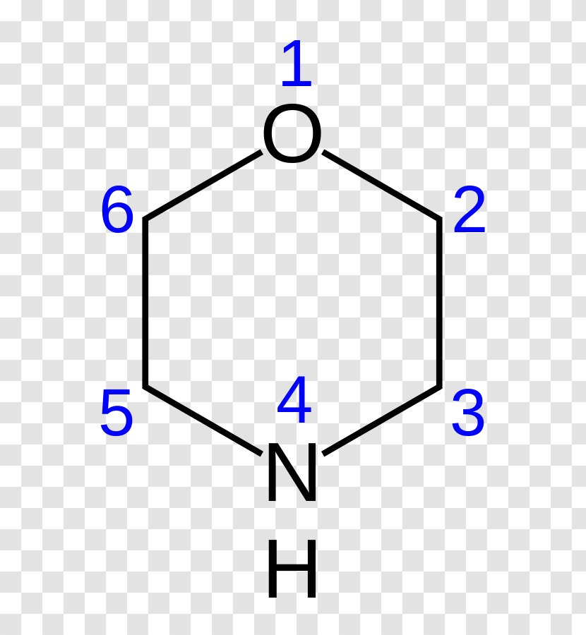 Ether Morpholine Piperidine Hydrochloric Acid Pyridine - Chemistry Transparent PNG