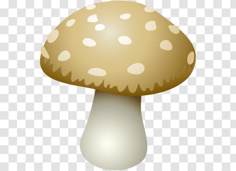 Mushroom Shiitake Clip Art Transparent PNG