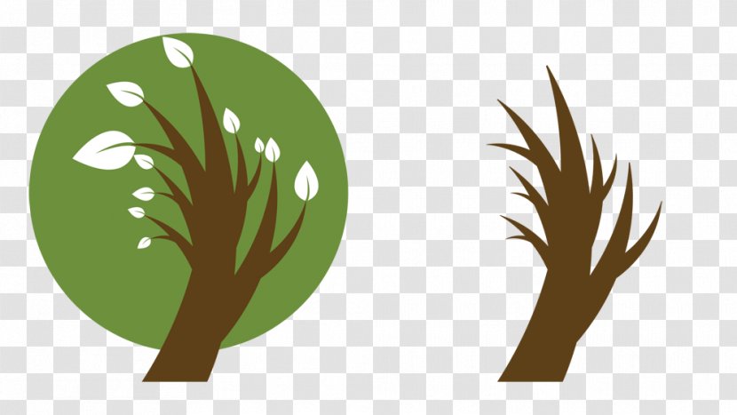 Newcastle Tree Services Root Leaf Stump - Grass Transparent PNG