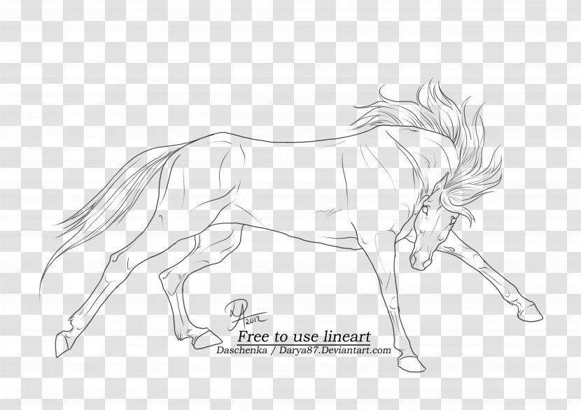 Arabian Horse Line Art Drawing Wild - Pony - Galloping Transparent PNG