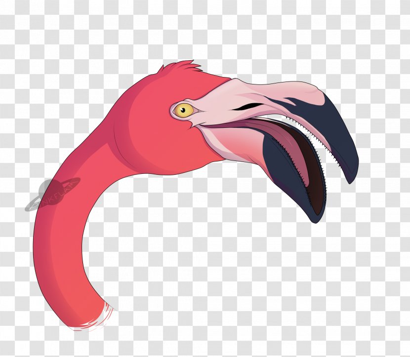 Blog Beak Tumblr Furry Fandom Water Bird - Hashtag - Pink Flamingo Transparent PNG
