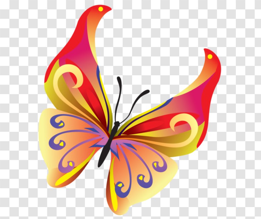 Butterfly Insect Vector Graphics Clip Art Image - Pollinator Transparent PNG
