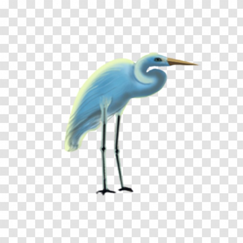 Crane Cartoon Drawing - Fauna Transparent PNG