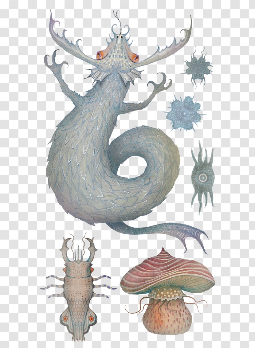 Drawing Art Watercolor Painting Printmaking - Nature Sea Animals Marine Microorganisms Transparent PNG