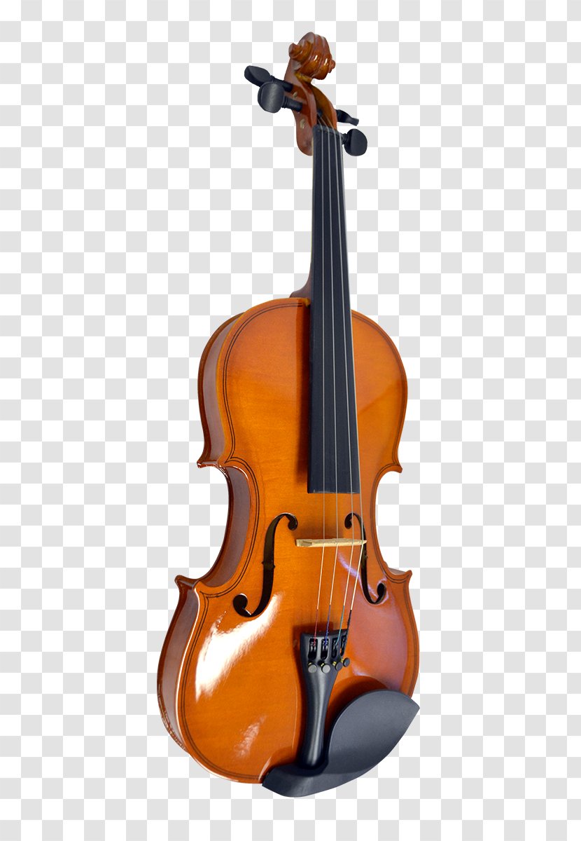 Bass Violin Viola Double Violone - Tree Transparent PNG
