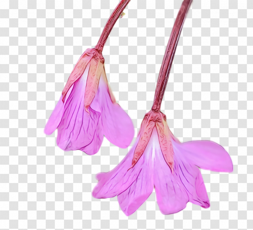 Pink Flower Violet Plant Petal Transparent PNG