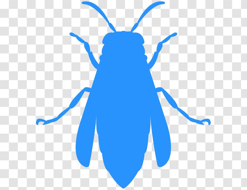 Insect Blue Cobalt Pest Parasite - Symmetry Transparent PNG