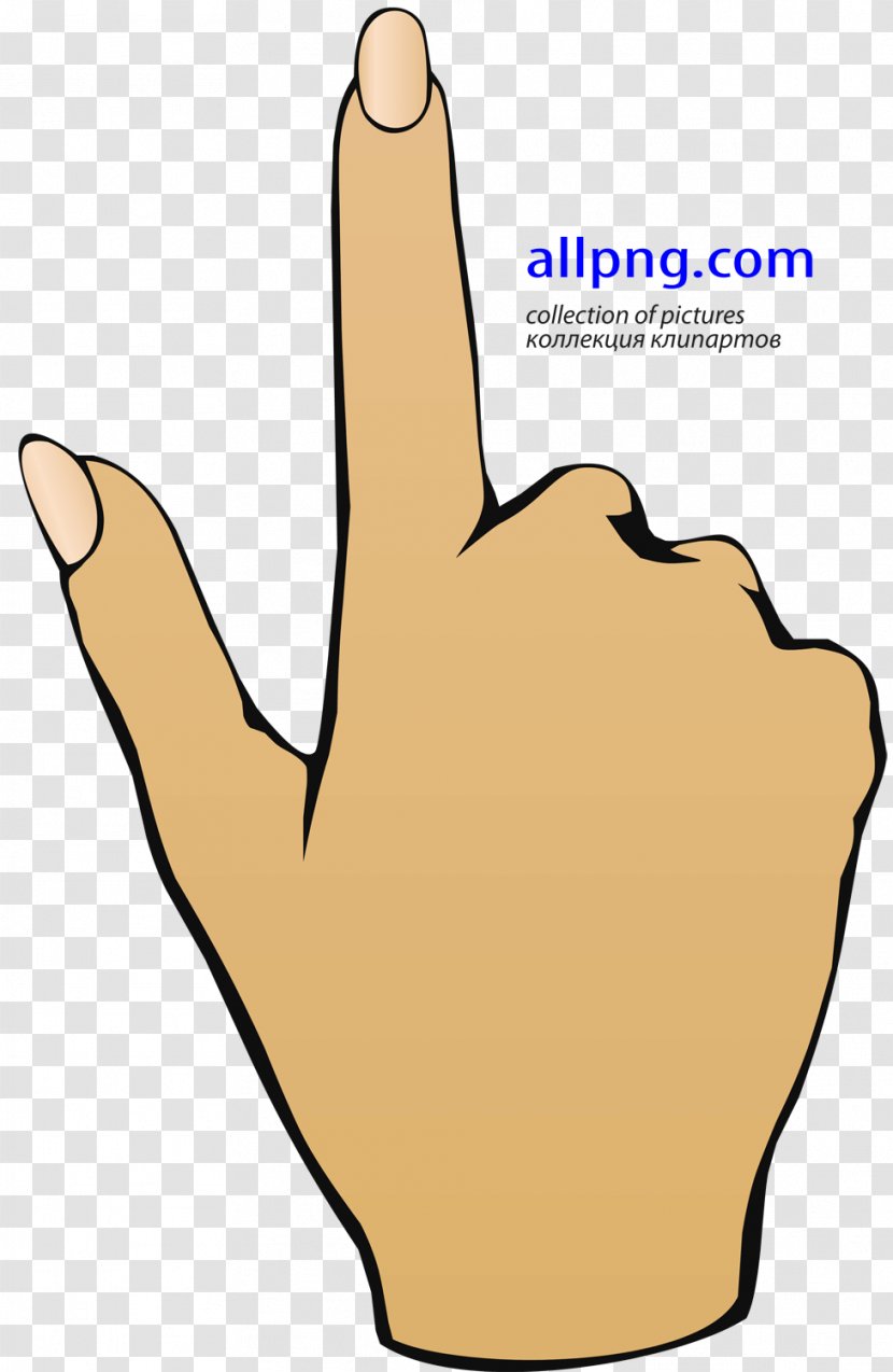 Thumb Index Finger Digit Hand - Model Transparent PNG