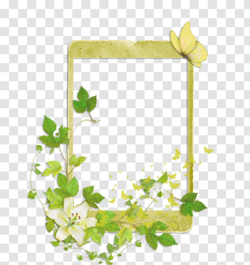 Floral Design Download Flower - Picture Frames - Hn S Transparent PNG