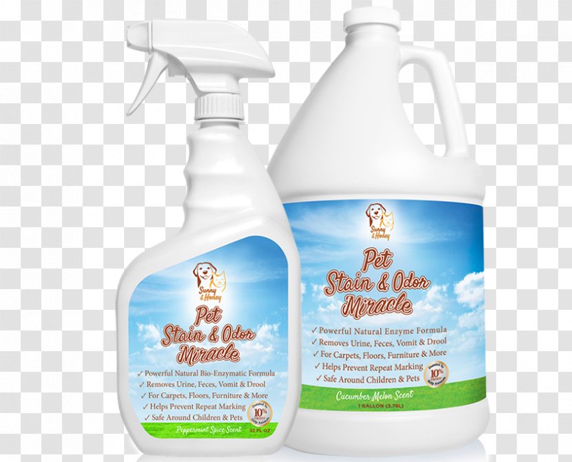 Dog Cat Stain Odor Carpet Cleaning - Litter Trays Transparent PNG