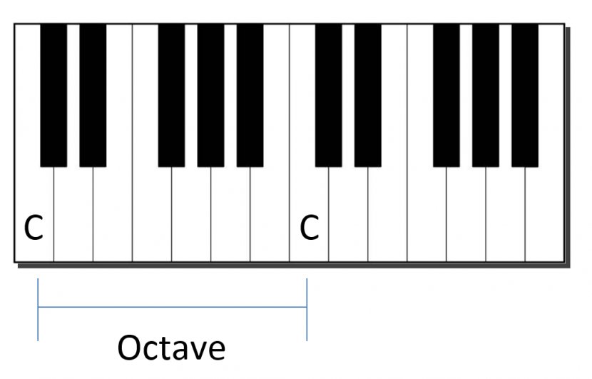 Digital Piano Electric Electronic Keyboard Musical Instruments - Flower - Images Of Keys Transparent PNG