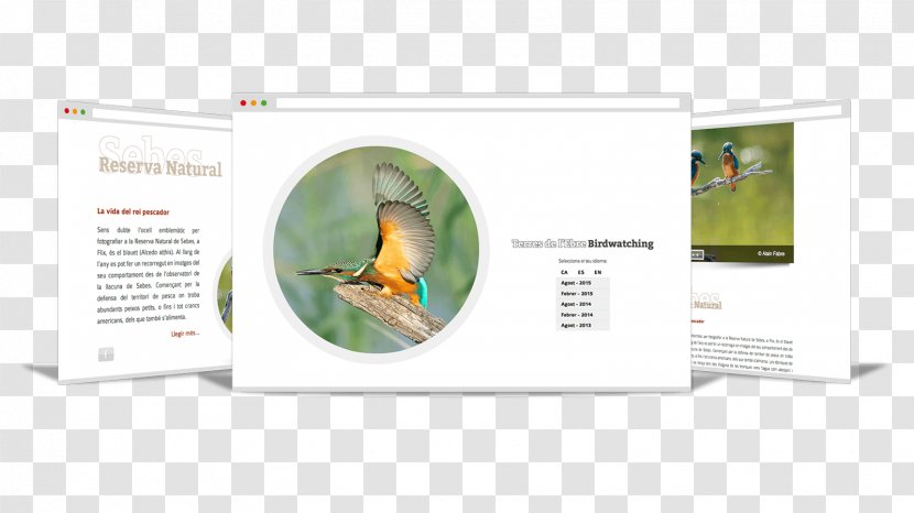 Brand Organism - Bird Watcher Transparent PNG