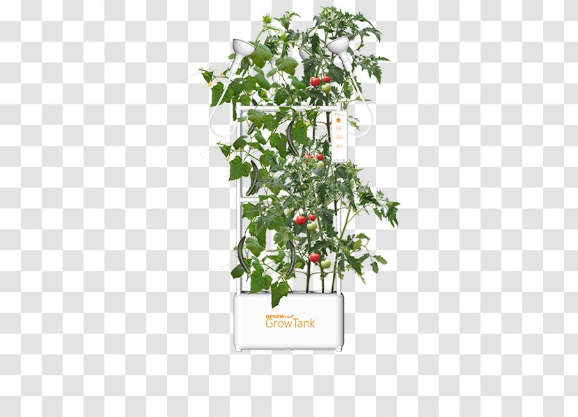 Houseplant Garden Flowerpot Hydroponics Plants - Gardening - Hydroponic Grow Box Transparent PNG