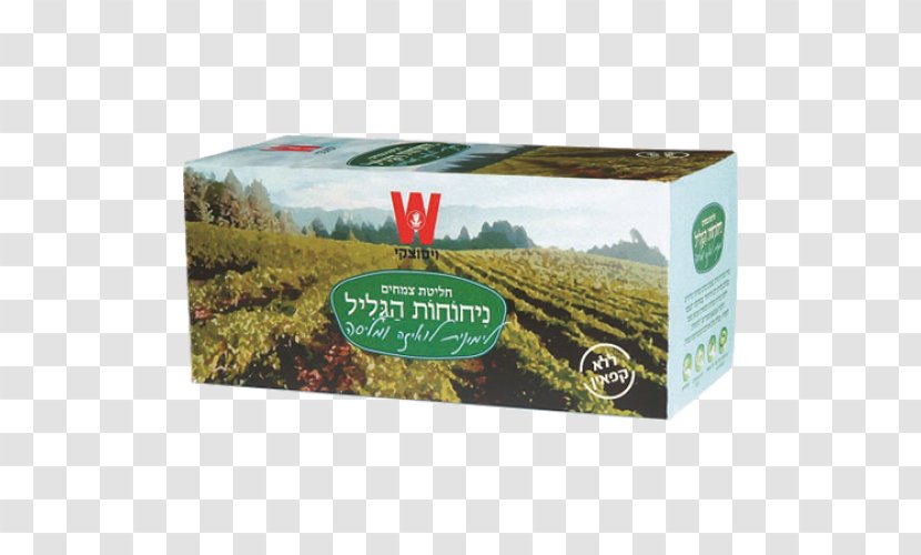 Lemon Beebrush Wissotzky Tea Galilee Balm - Scented Transparent PNG