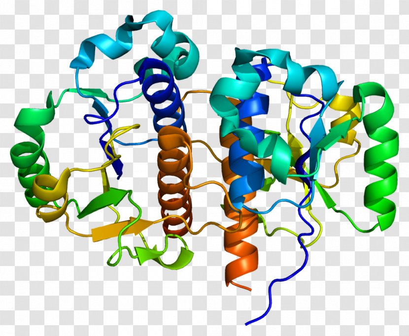 TARBP1 Enzyme Gene Protein Clip Art - Silhouette - Cartoon Transparent PNG