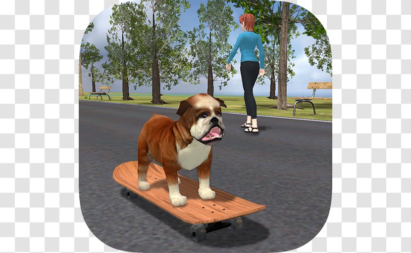 Dorset Olde Tyme Bulldogge English Bulldog On Skateboard Simulator - Dog Breed Transparent PNG