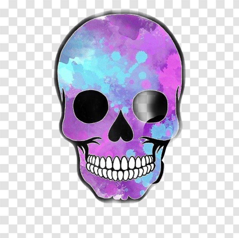 Skull Cartoon - Translation - Jaw Magenta Transparent PNG