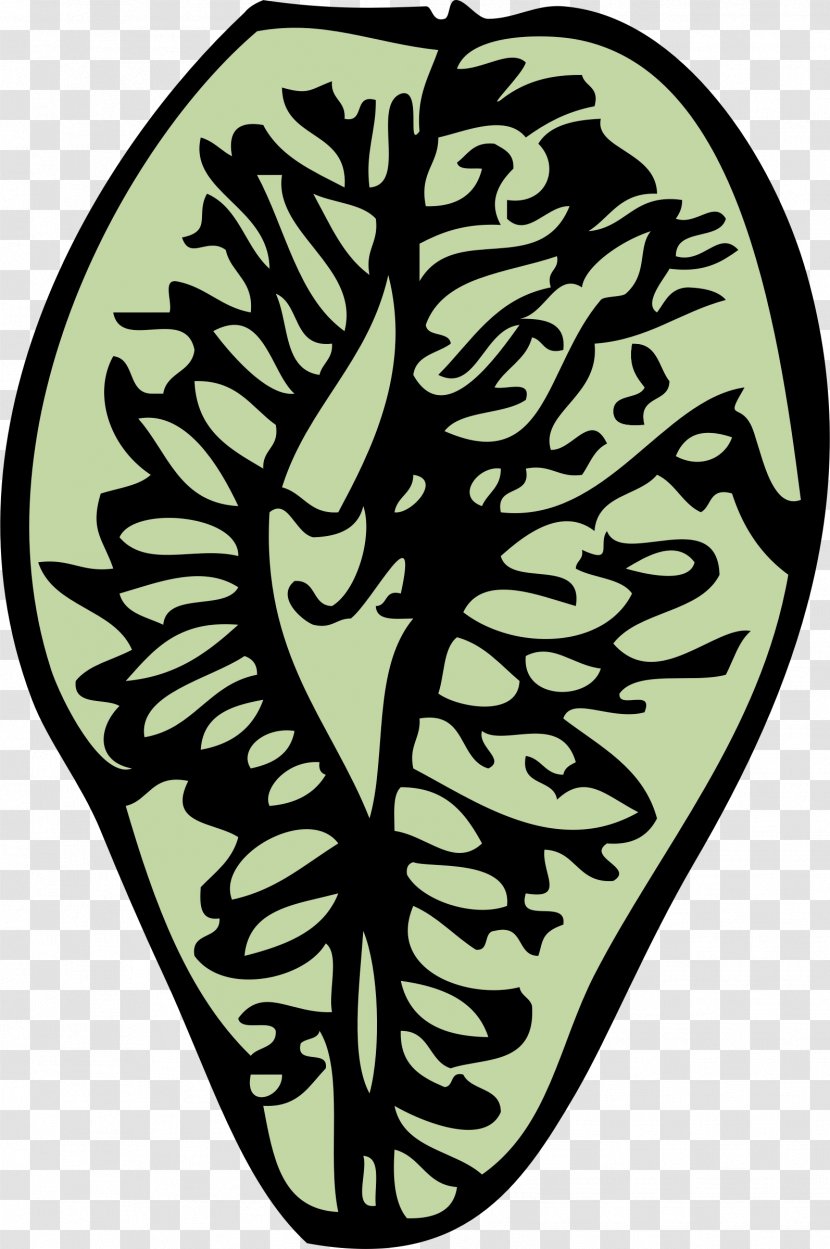 Elm Seed Conifer Cone Clip Art - Cartoon - Pine Transparent PNG